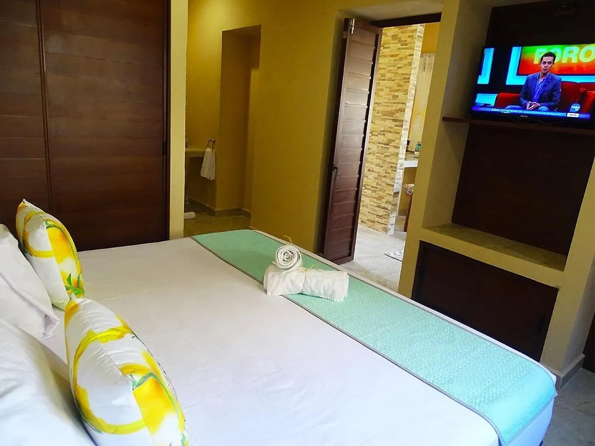 Macondo Raiz Holbox